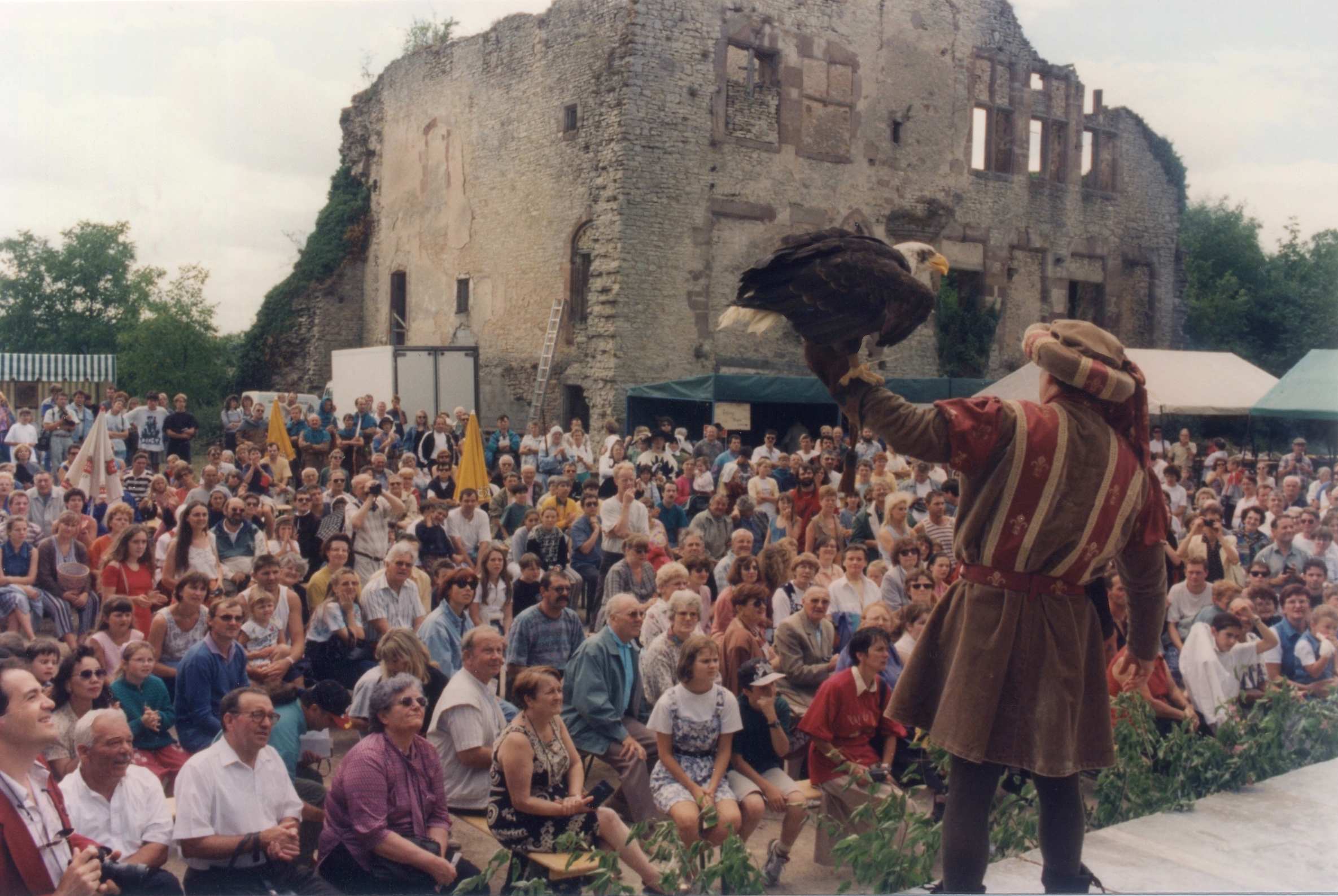 Un aigle royal lors du spectacle de fauconnerie