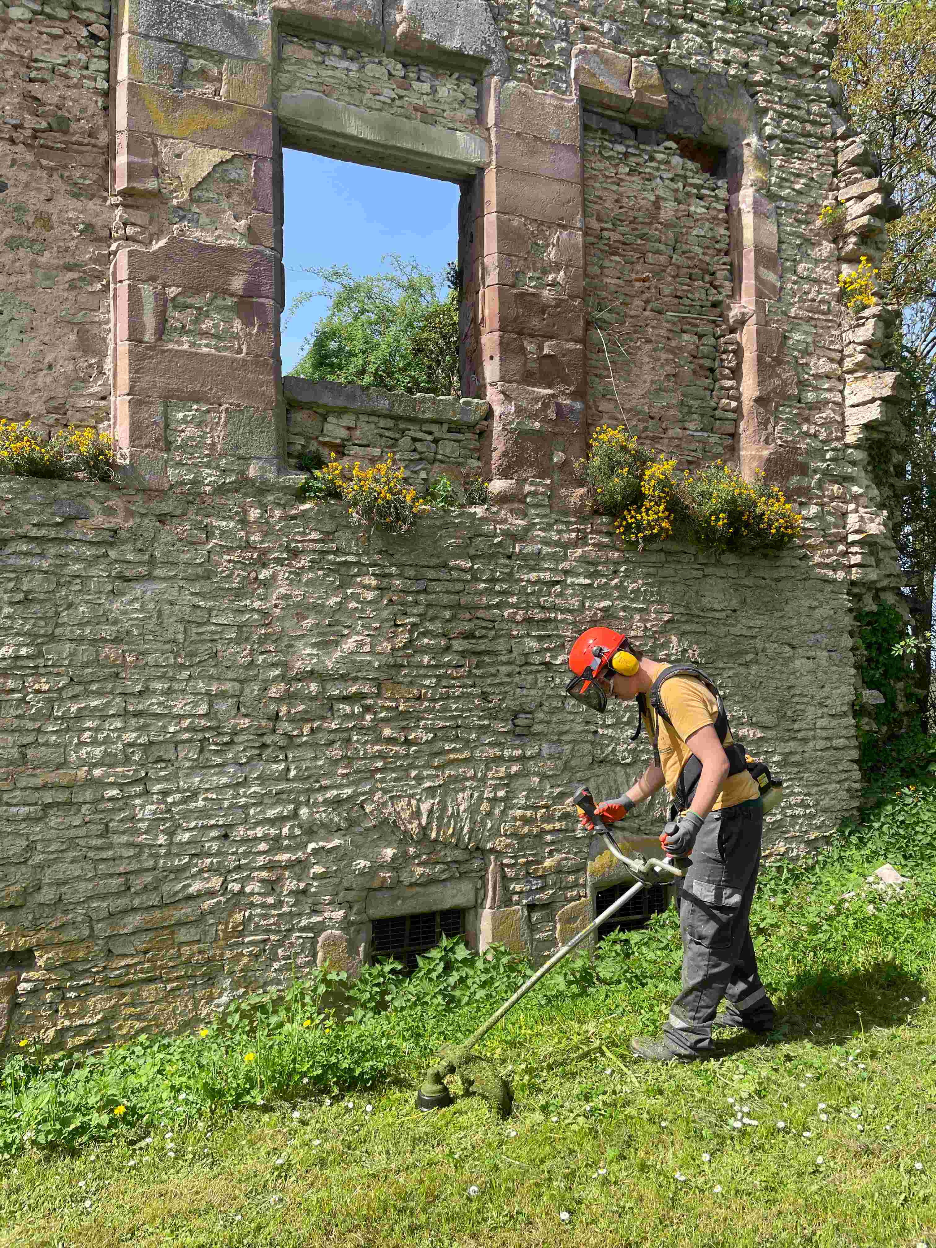 Débroussaillage d'une muraille avec le CAPS