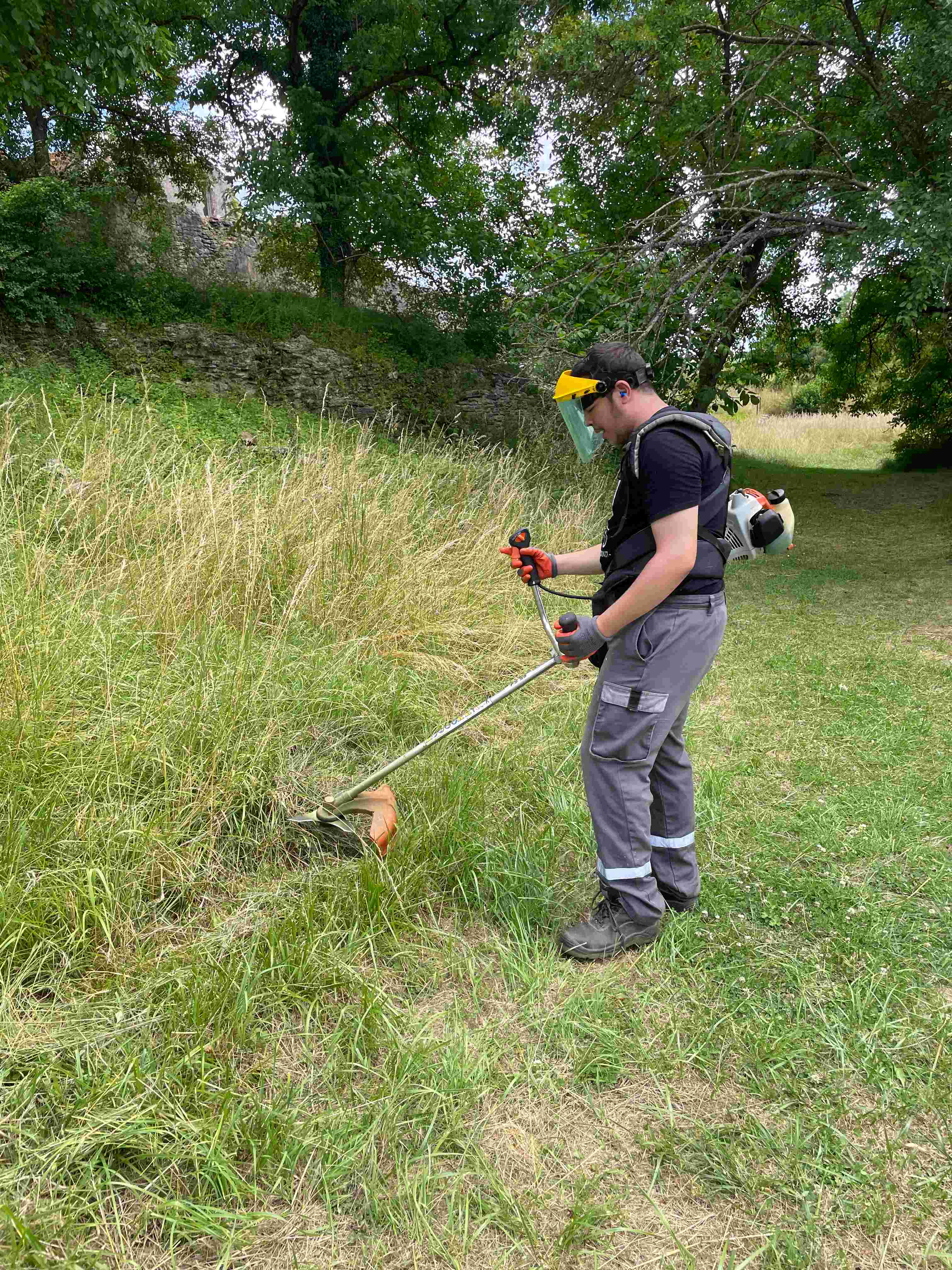 Débroussaillage d'une prairie avec le CAPS