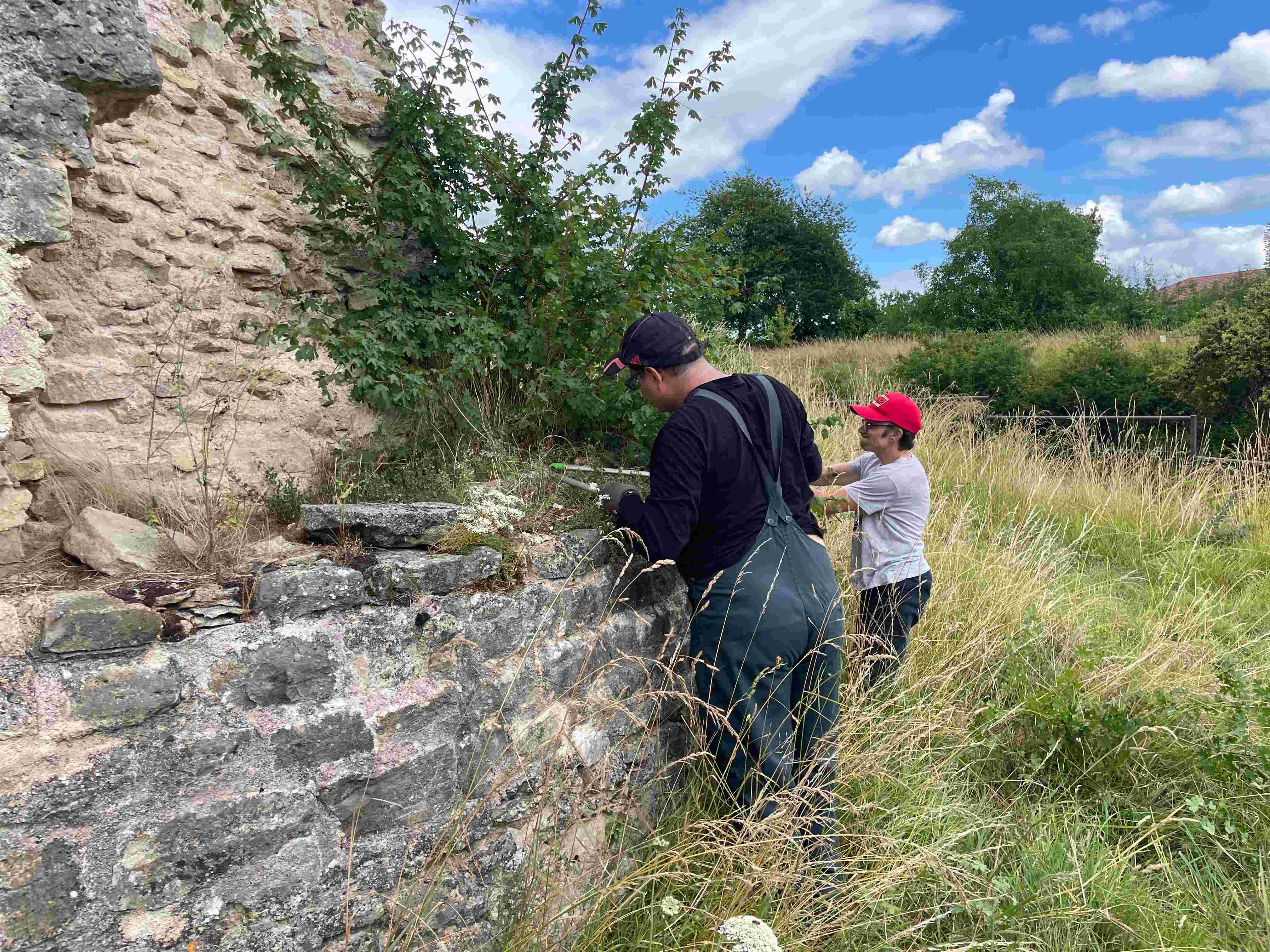 Taille d'arbustes le long d'une muraille avec le CAPS