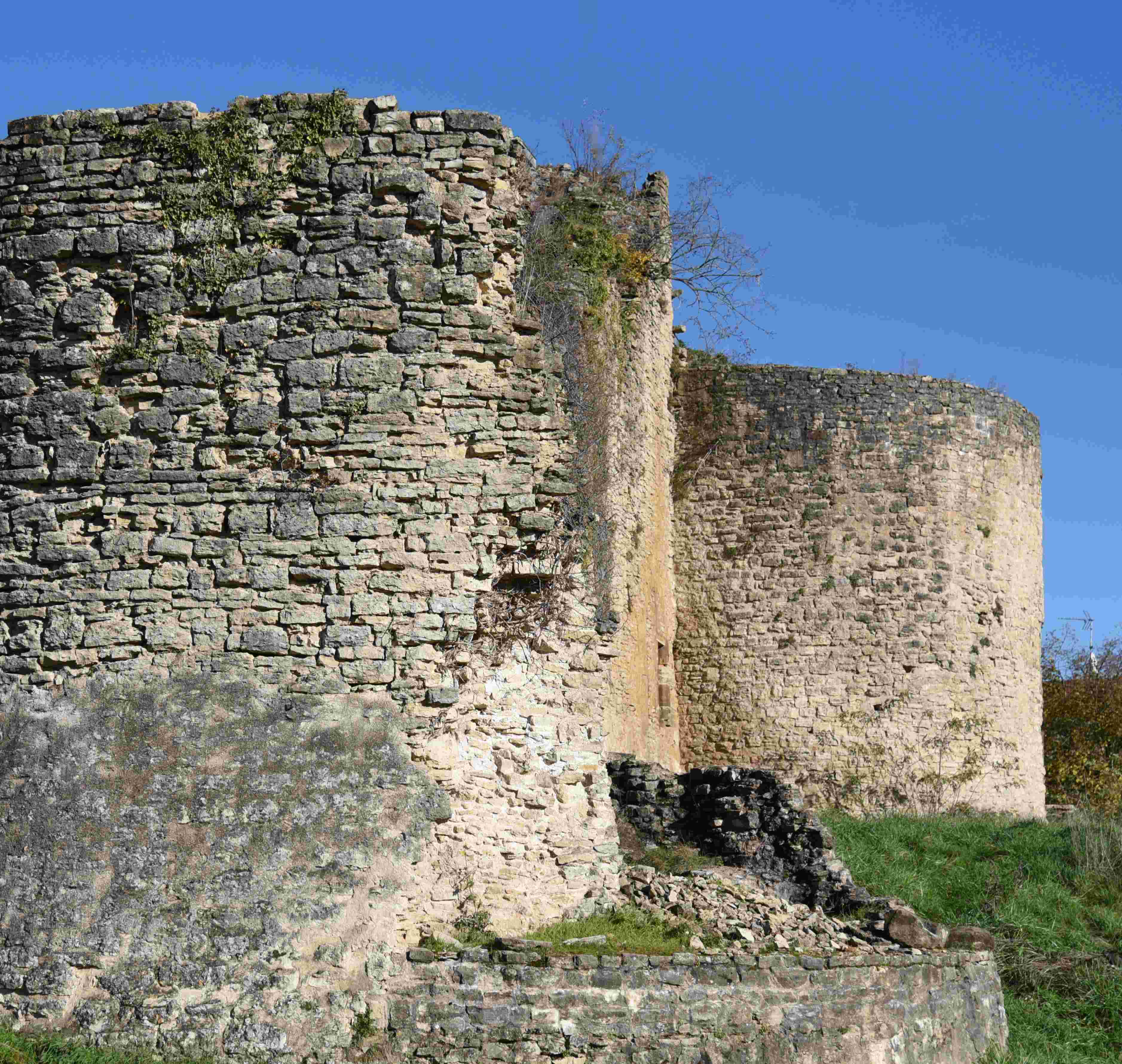 Les tours et courtines envahies de lierre